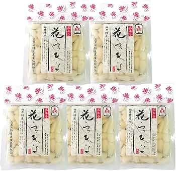 キティ　らっきょう　福井 福井 らっきょうキティ 展示中 in Museum of neco2gawa